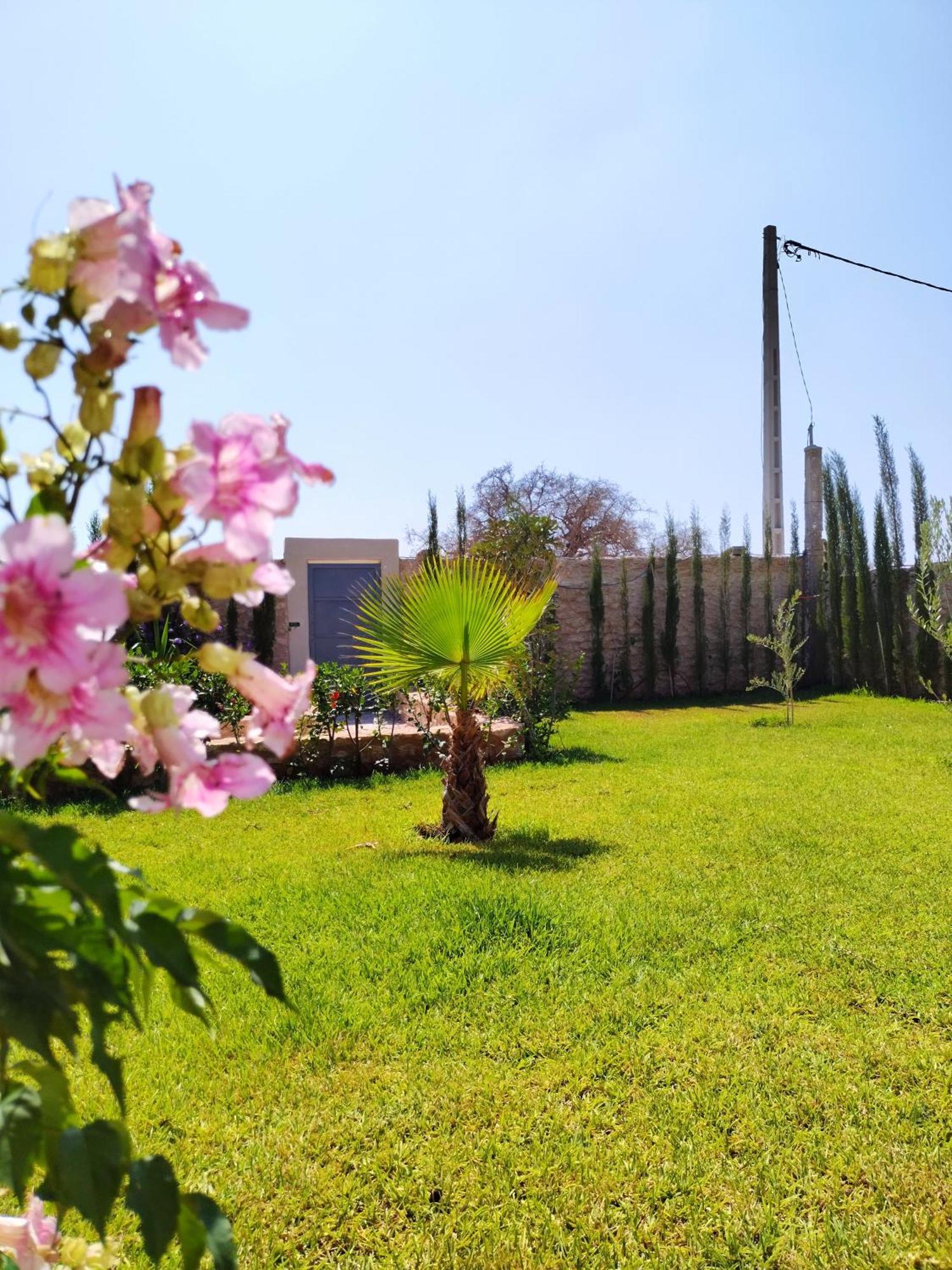 Villa Iyad เอสเซาอิรา ภายนอก รูปภาพ